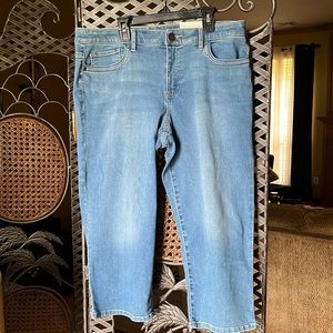 Brand New Christopher & Banks “the Perfect Jean”,